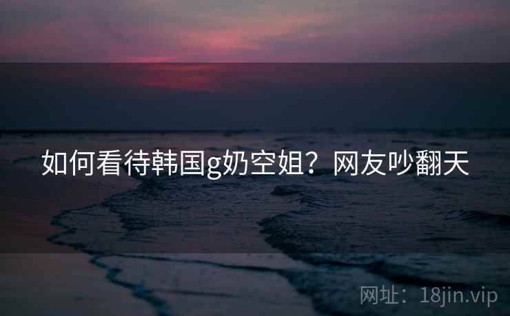 如何看待韩国g奶空姐？网友吵翻天