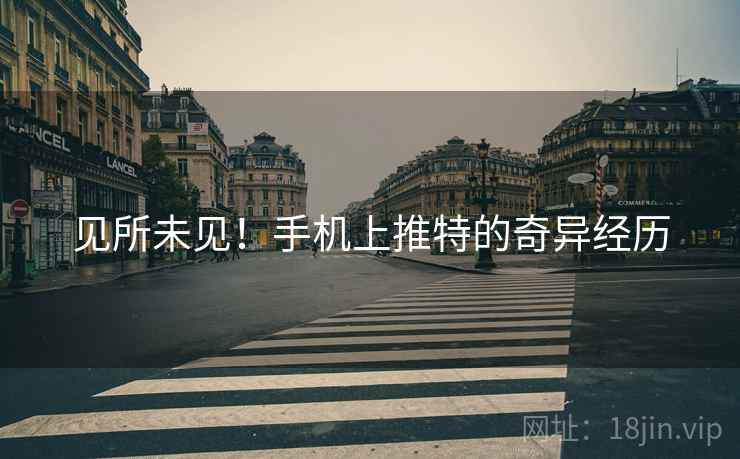 见所未见！手机上推特的奇异经历