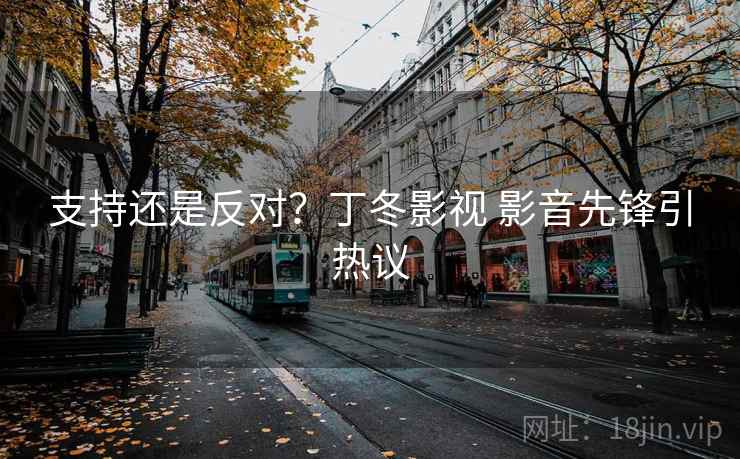 支持还是反对？丁冬影视 影音先锋引热议